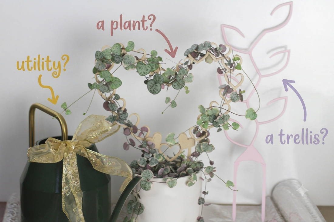 The Plant Lover Gift Guide for People Who Know Nothing About Plants