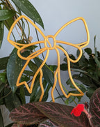 Gold bow trellis for hoya and other vining plants