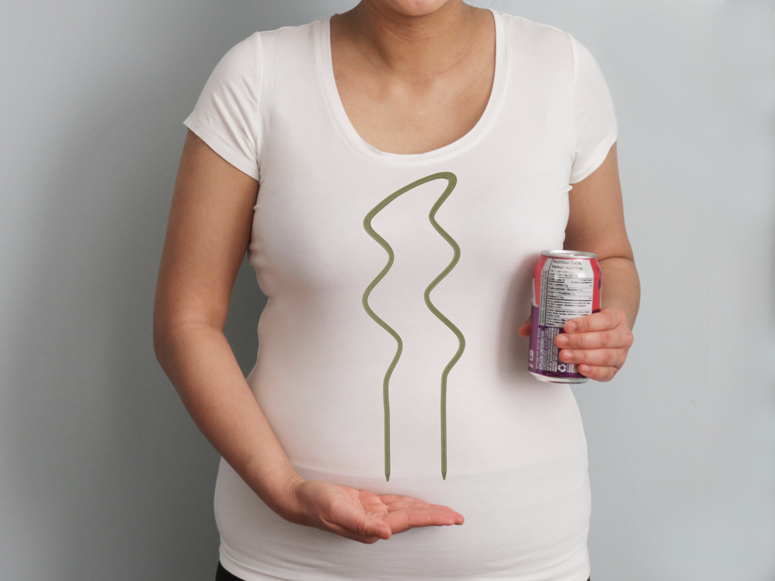 A breezy u trellis in front of a trellis and beside a standard pop can for size reference