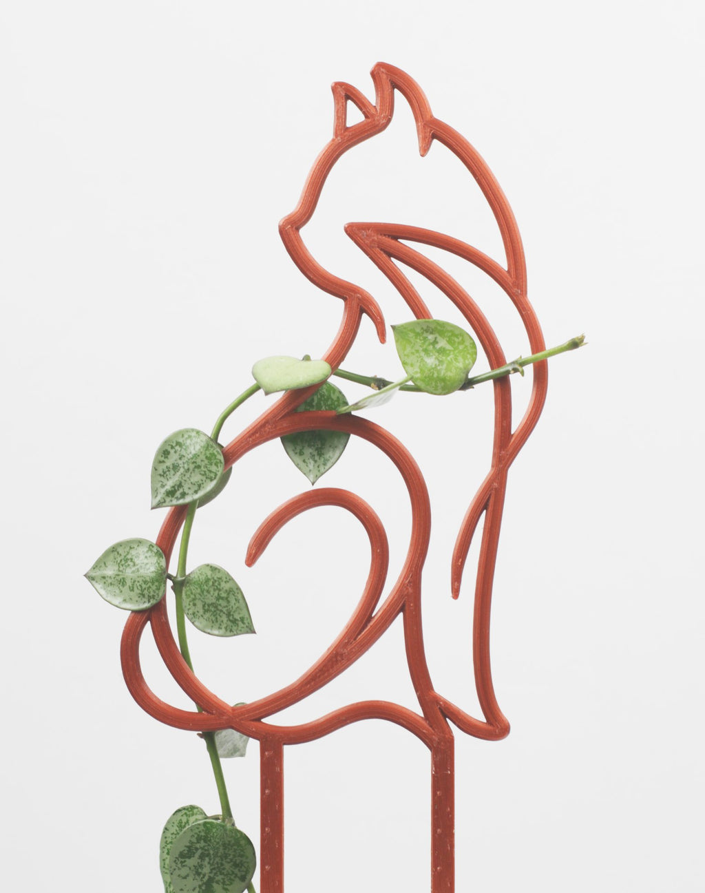 3D printed cat silhouette plant trellis for hoya and other vining houseplants, made in Canada