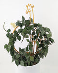 Giraffe circle trellis with the giraffe's head poking out the top, surrounded by hoya vines