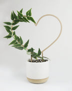 Heart shaped trellis for hoya and other small vining houseplants