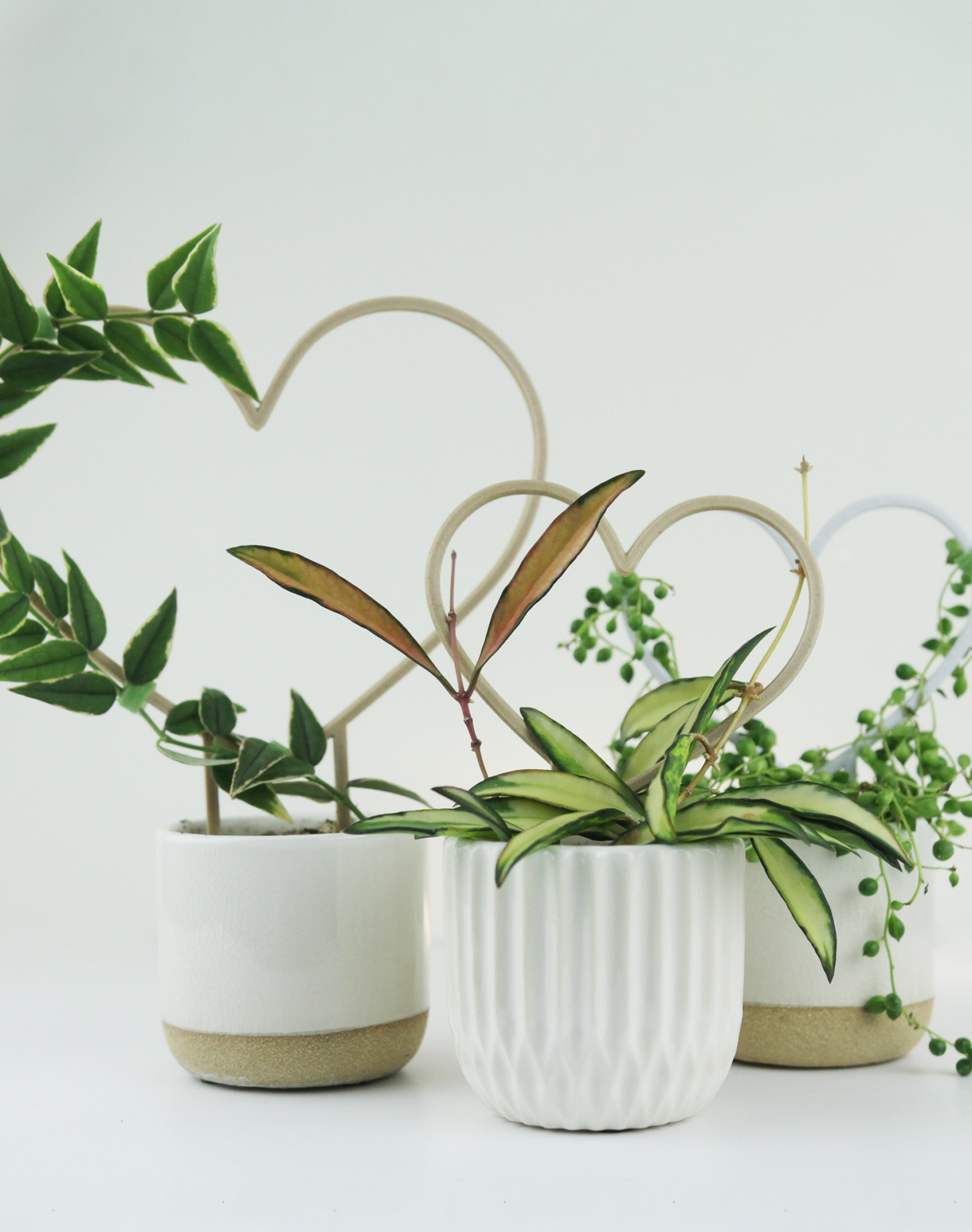 Heart Shaped Trellis