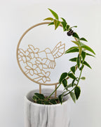Wood hummingbird trellis with a hoya vine wrapped around the circle
