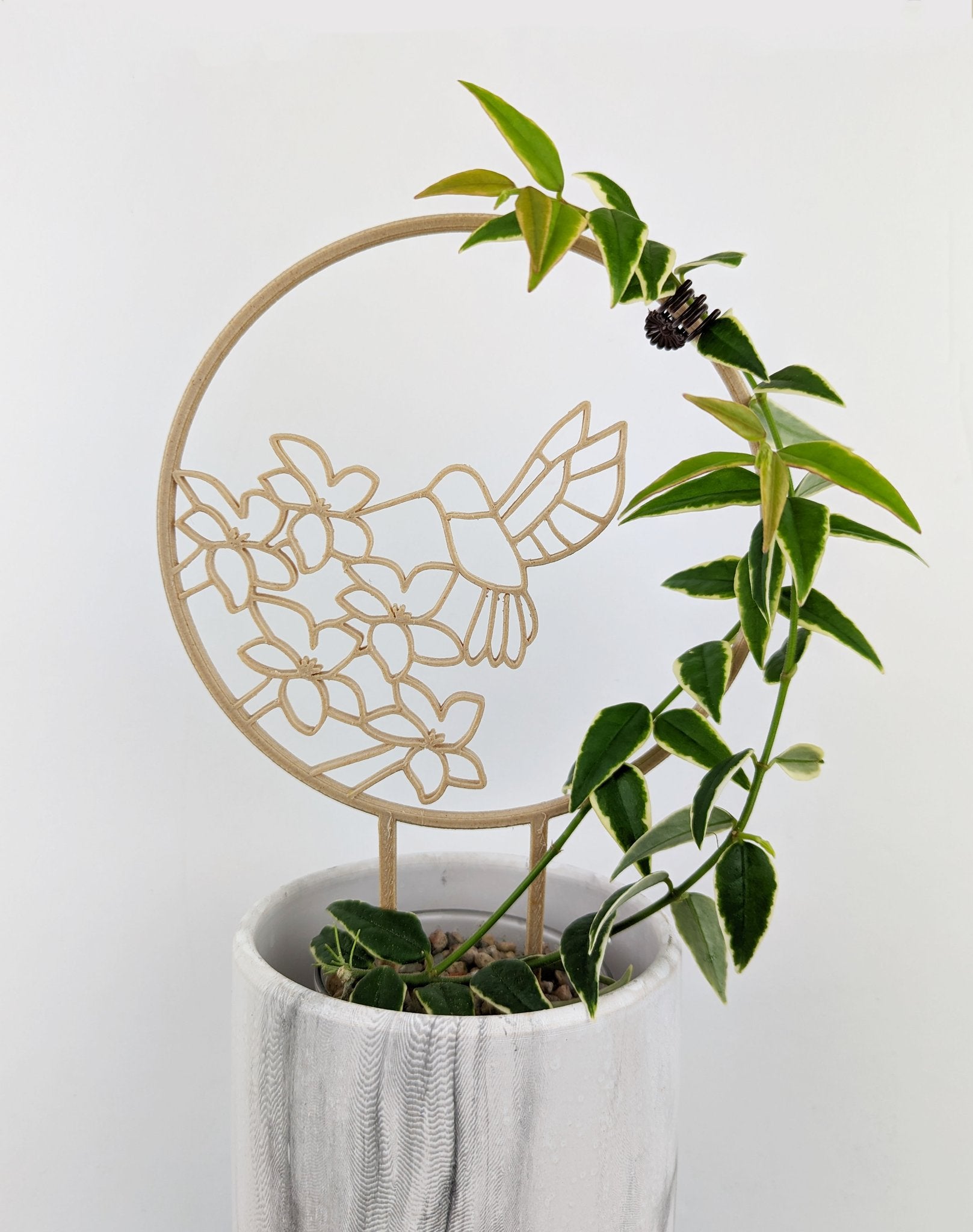 Wood hummingbird trellis with a hoya vine wrapped around the circle