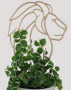 Lion head trellis with a creeping ficus growing through the mane