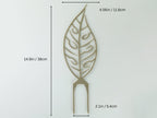 Infographic describing the monstera adansonii trellis features