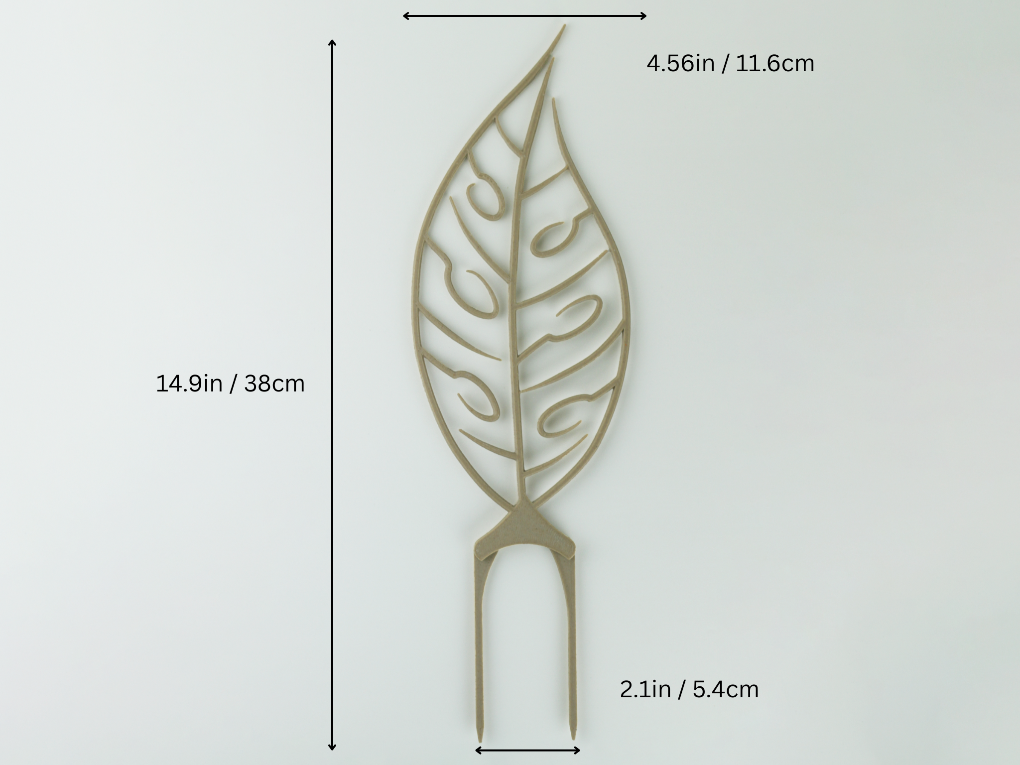 Monstera Adansonii Trellis