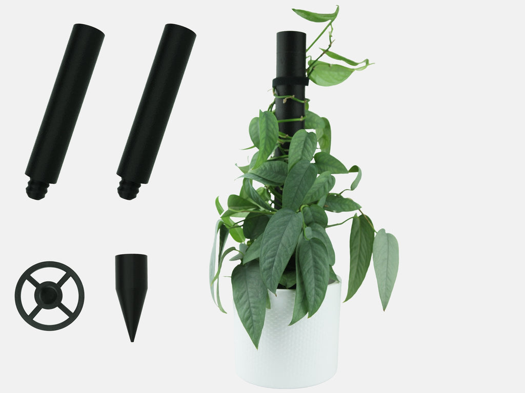 Extendable plant pole set, a modular moss pole alternative for climbing houseplants