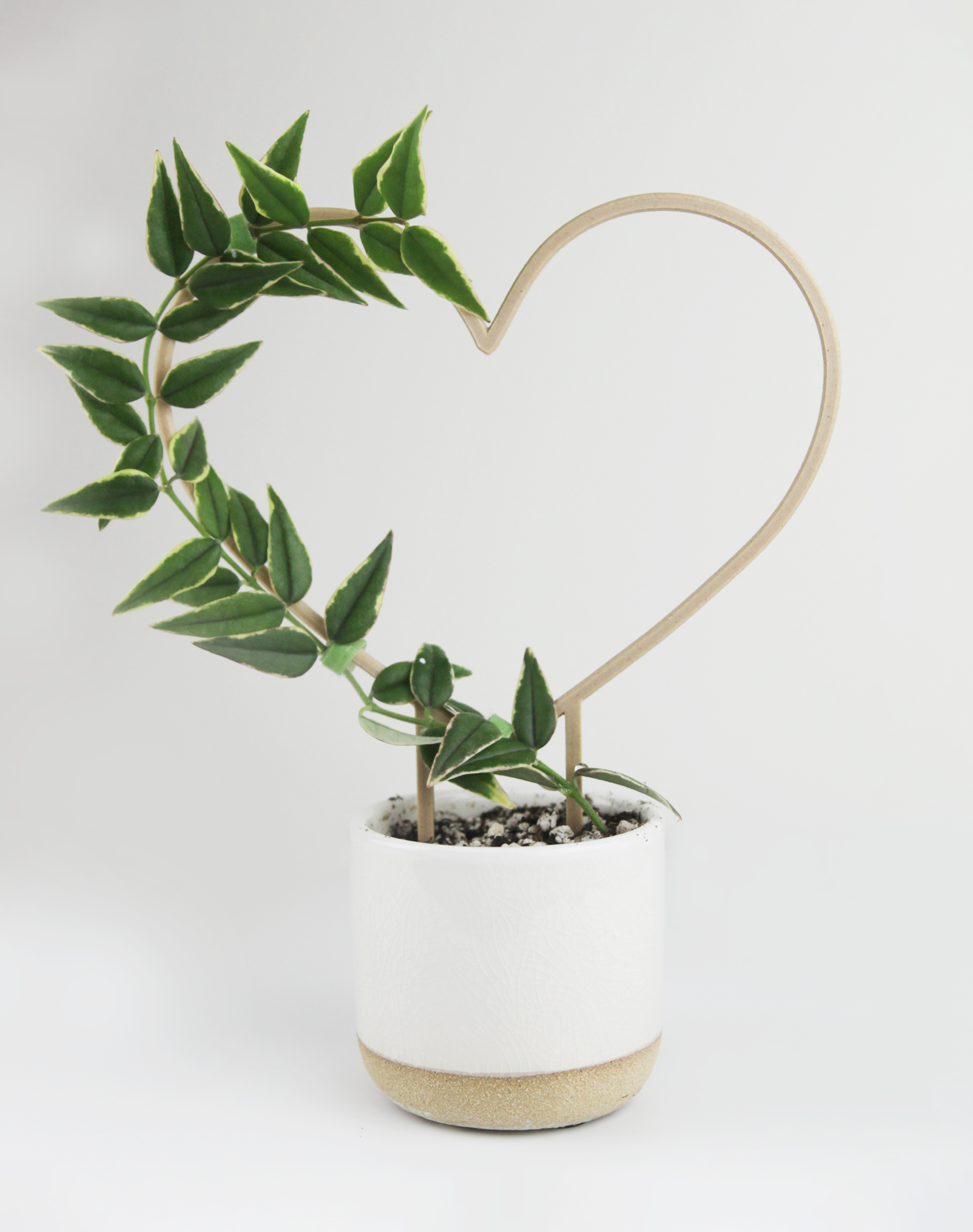 heart trellis for plants Heart Shaped Plant Trellis — Hoya Gift for Plant Lovers – Moss Trail Designs