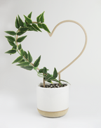 Heart Shaped Trellis