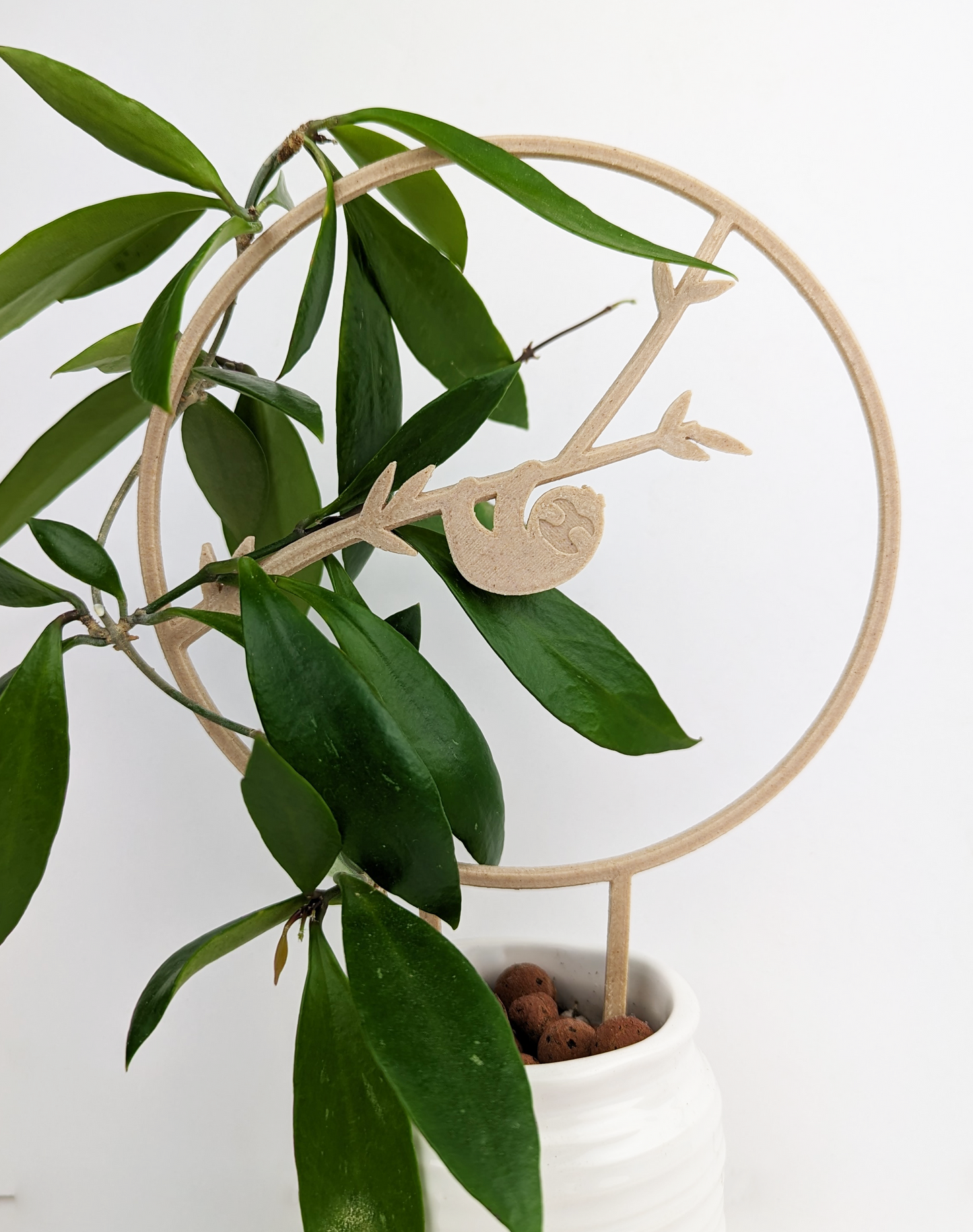 Circle trellis with a hanging sloth design in the center. On the right side a hoya vine is wrapped around it.