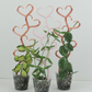 3 stacked heart trellises side by side in rose gold and pastel pink color with small hoya props on them.