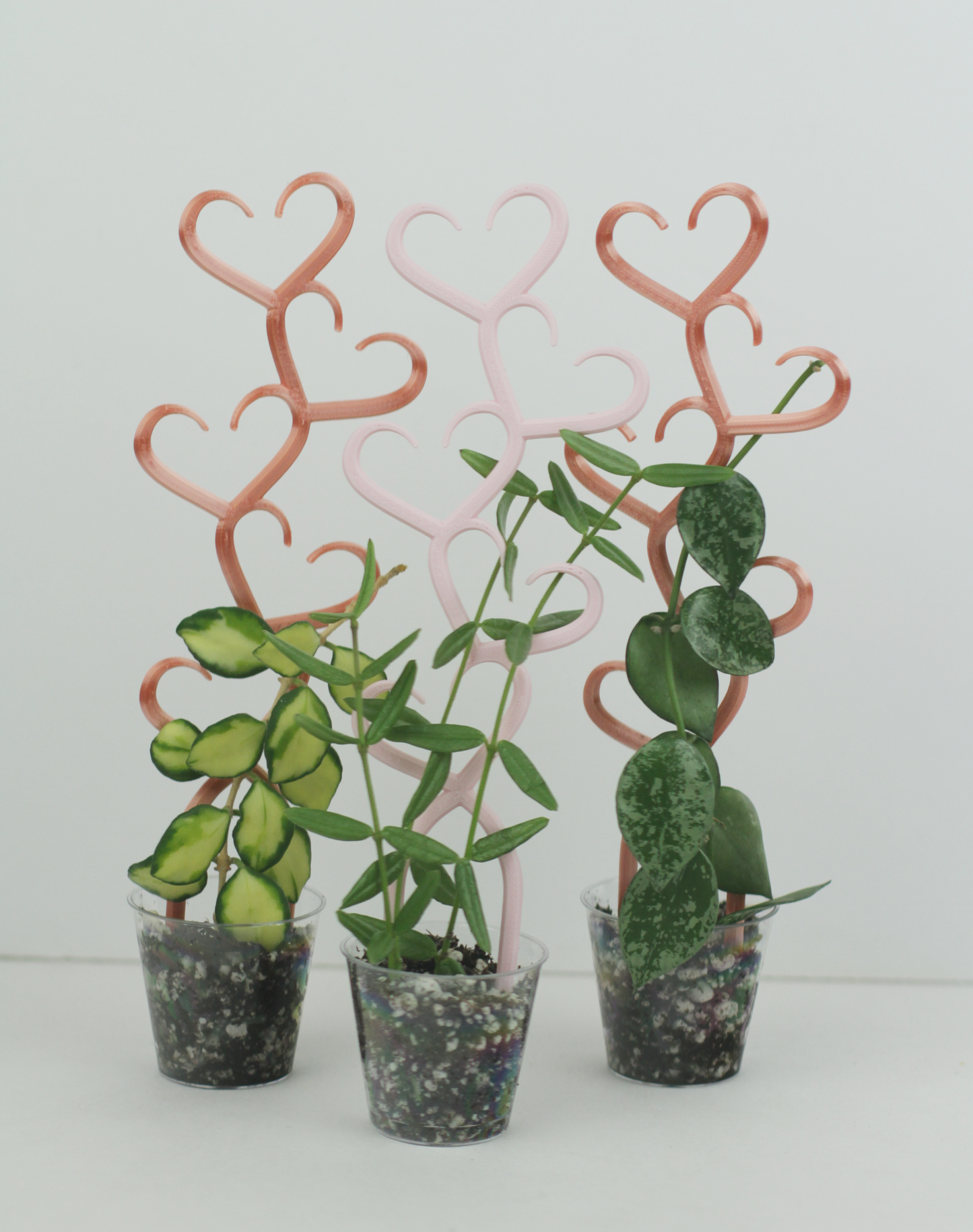 3 stacked heart trellises side by side in rose gold and pastel pink color with small hoya props on them.