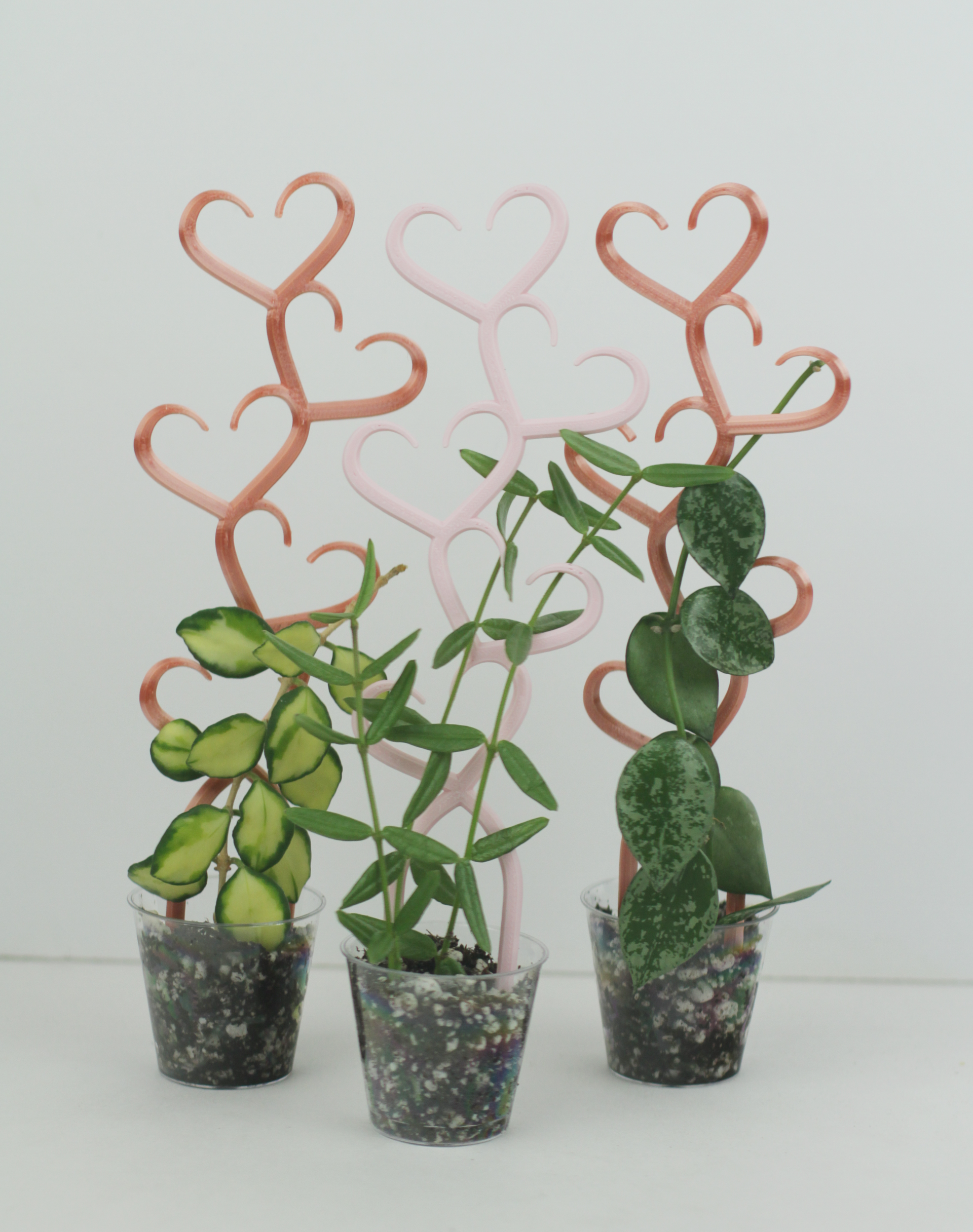 plant trellis for indoor plants Stacked Hearts Plant Trellis for Hoya & Indoor Plants – Moss Trail Designs