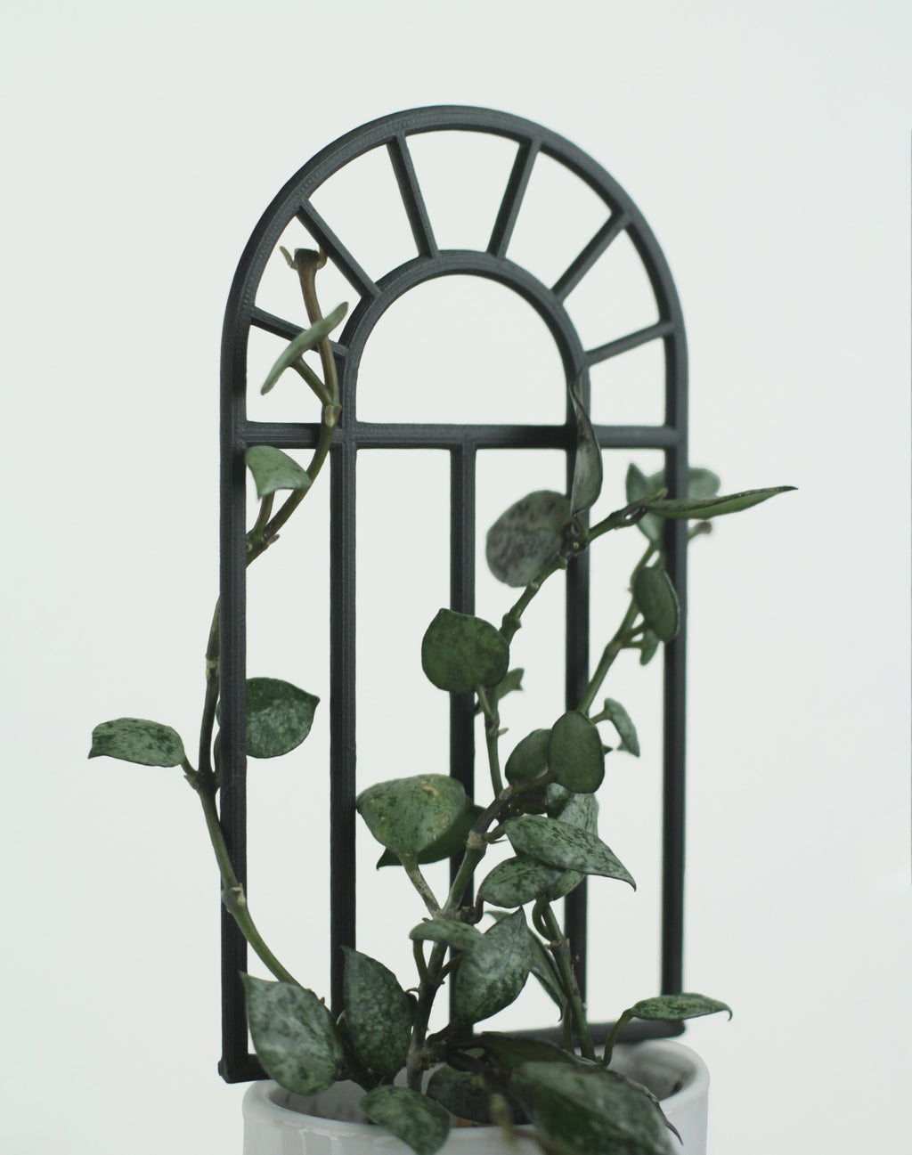 Arch window shaped plant trellis for small indoor plants