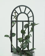 Arch window shaped plant trellis for small indoor plants
