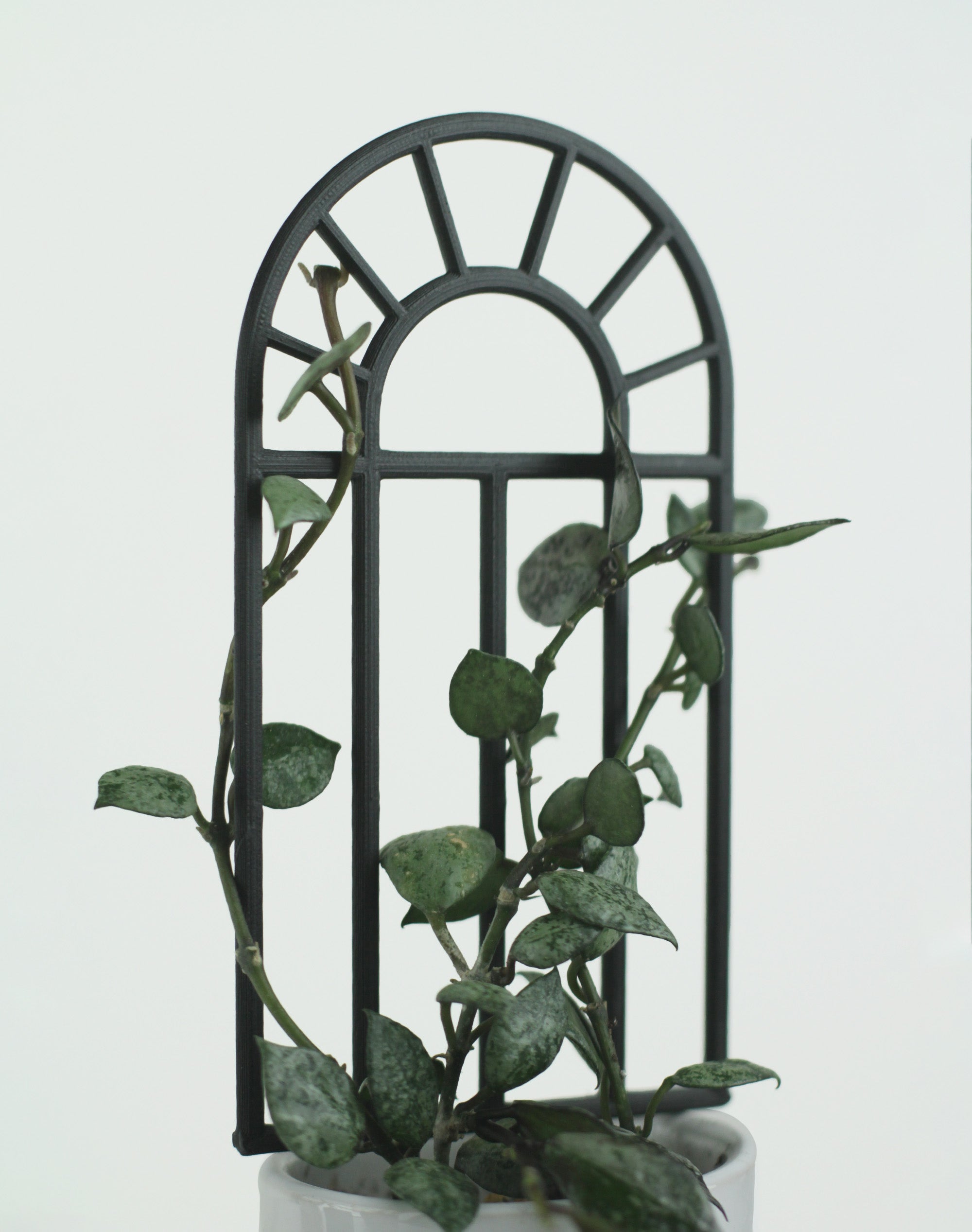 Arch window shaped plant trellis for small indoor plants