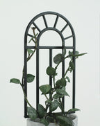 Black arch window trellis for small indoor plants