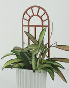 Arch Window Trellis (various sizes)