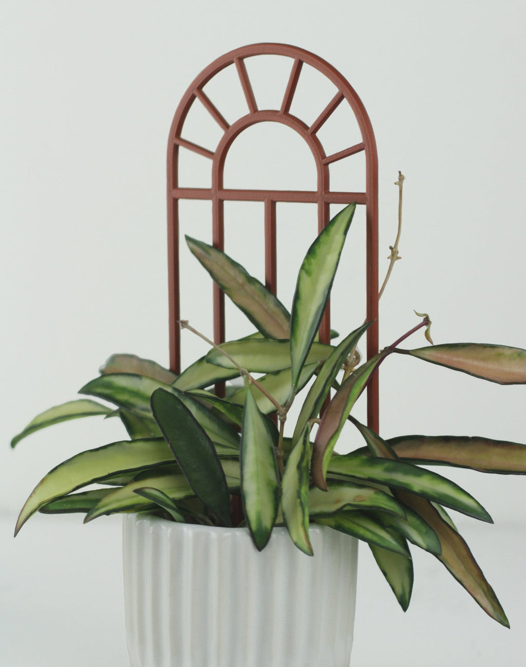 Arch window trellis in copper for small climbing houseplants