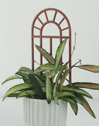 Arch window trellis in copper for small climbing houseplants