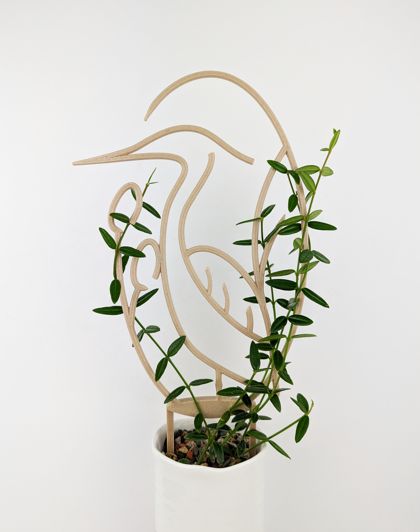 Houseplant trellis in the shape of a heron, in wood color, supporting a hoya plant.